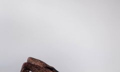 Проститутка Лана NEW Тел. 8 921 037-51-66